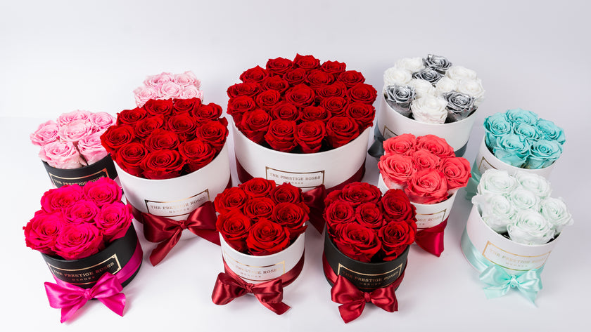 cajas de rosas preservadas