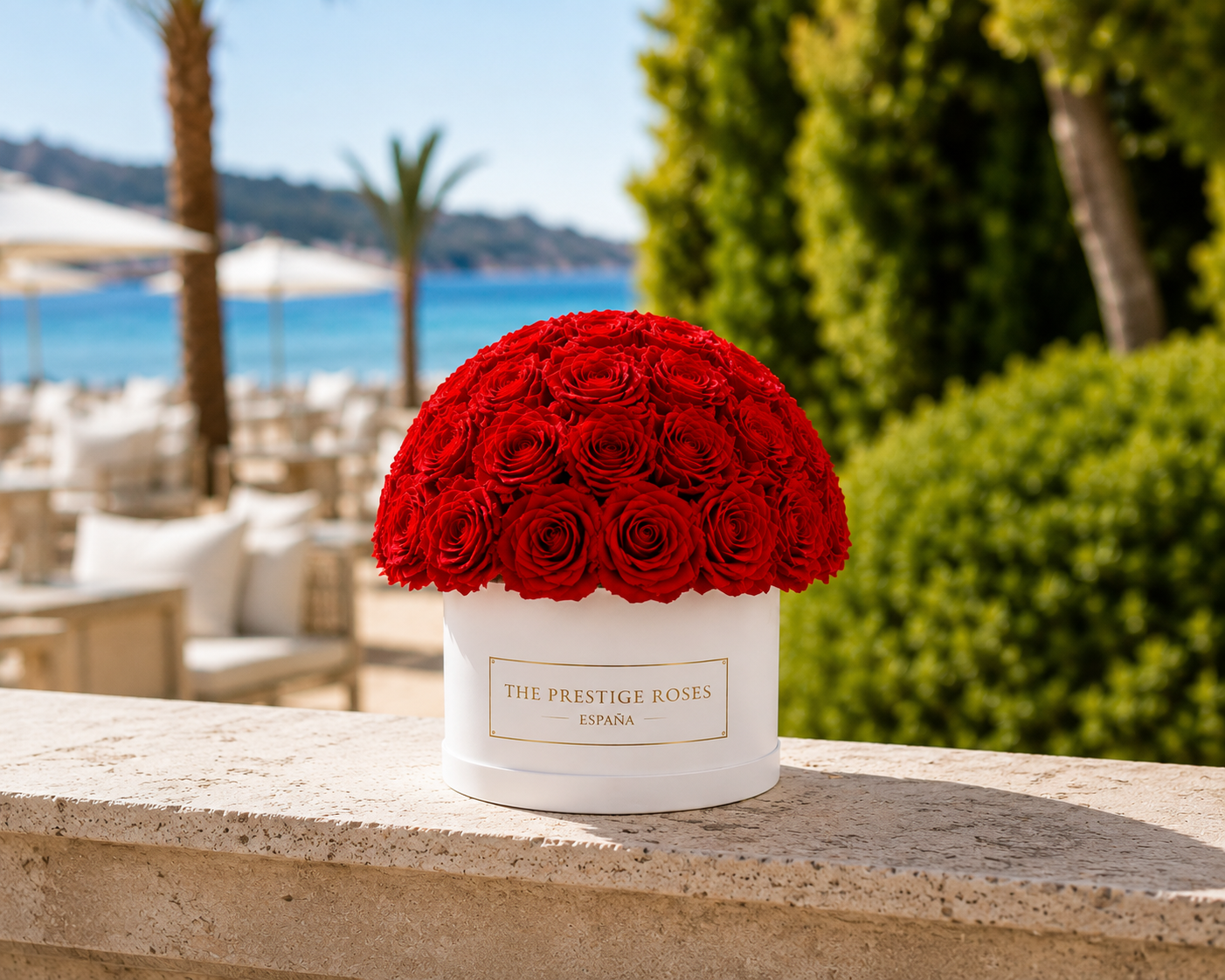 Rosas Preservadas White Eternity Dome