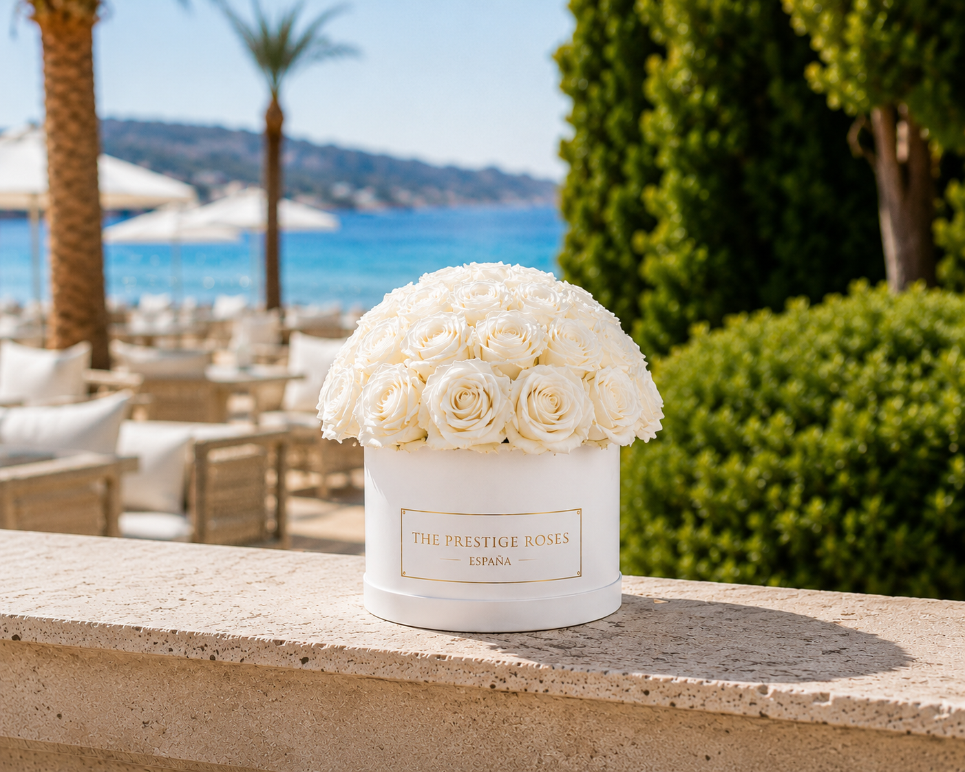 Rosas Preservadas White Eternity Dome