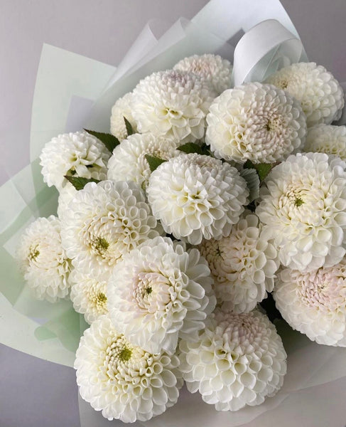 Crisantemo Ramo Ramo de Crisantemo naturales frescas Madrid | Prestige Roses Madrid ...