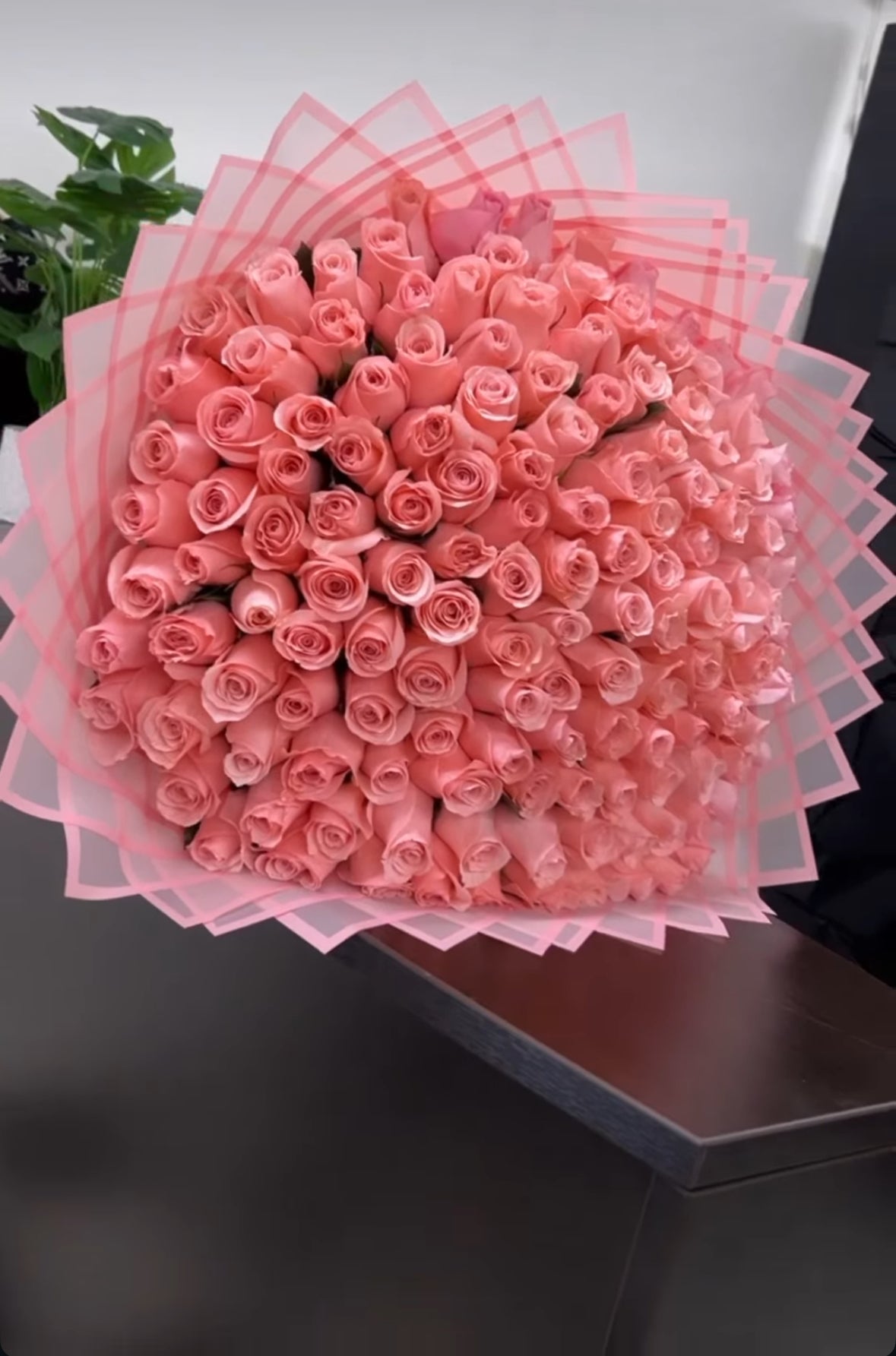 Ramo gigante de 200 rosas rosadas envuelto en capas de papel rosa translúcido en forma de abanico de lujo.
Giant bouquet of 200 pink roses wrapped in layered translucent pink paper in a luxurious fan shape.
