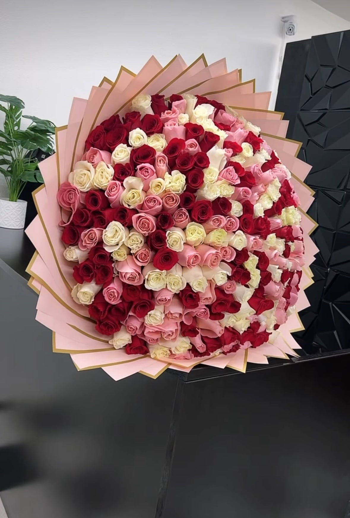Ramo gigante de rosas rojas, rosas y blancas, envuelto en papel rosa con borde dorado, diseño de lujo exclusivo.
Giant bouquet of red, pink and white roses, wrapped in pink paper with gold edge, exclusive luxury design.

