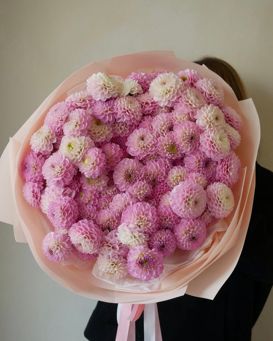 Ramo de dalias rosas naturales envuelto en papel premium con cinta satinada de lujo.