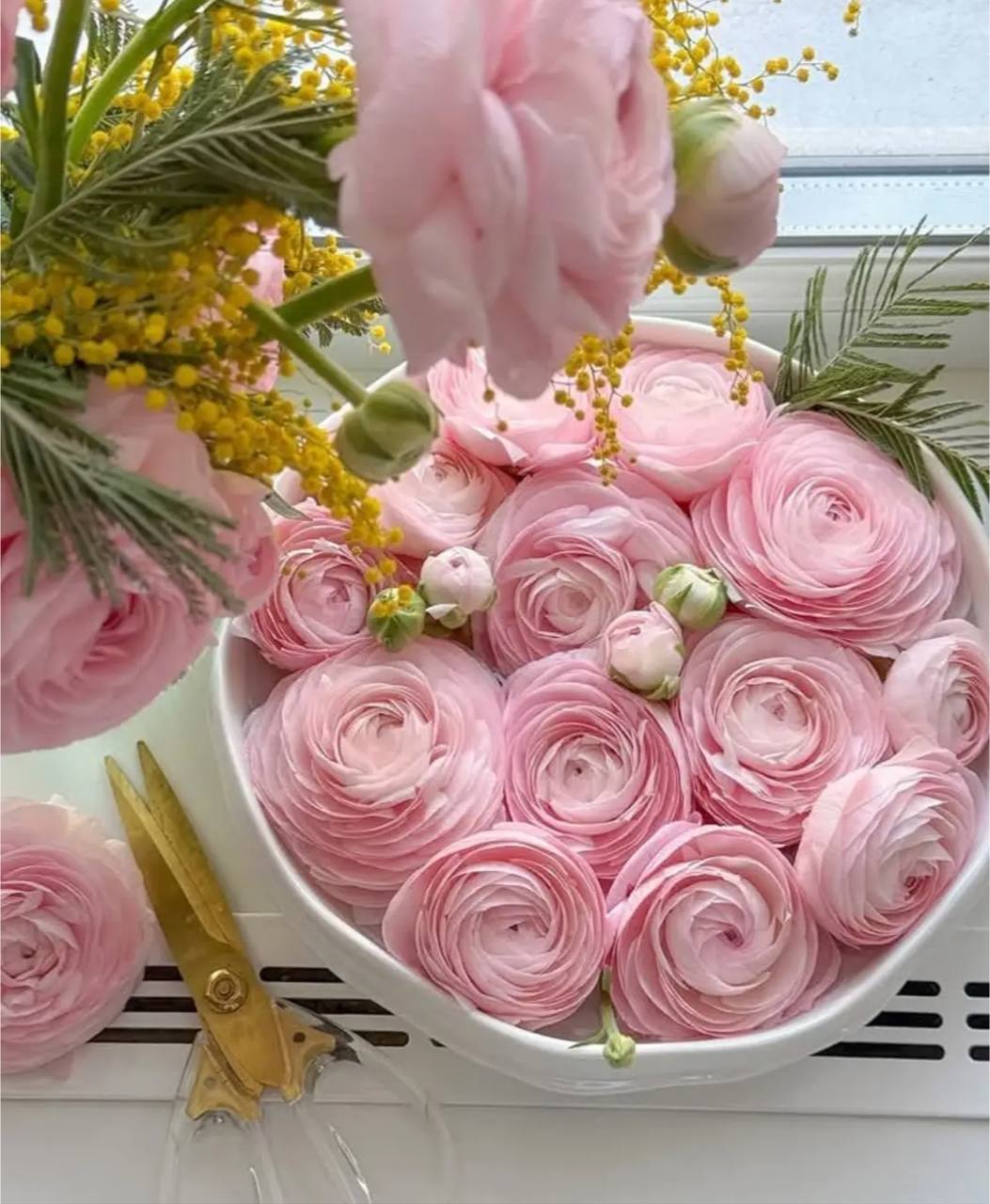 flores-eternas-ranunculos-caja-premium