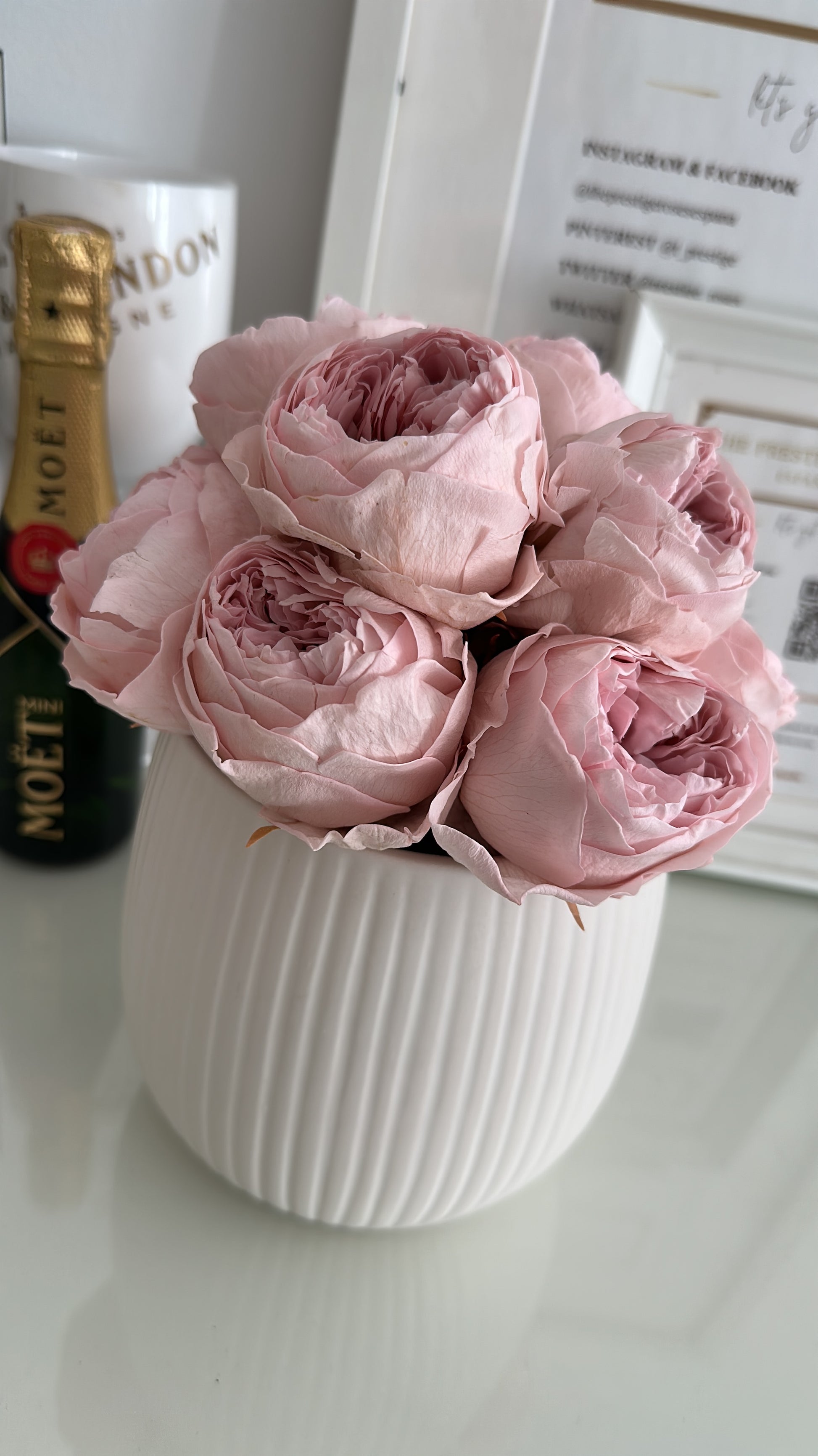 Arreglo de peonías eternas rosa empolvado en jarrón de cerámica blanco estilo elegante