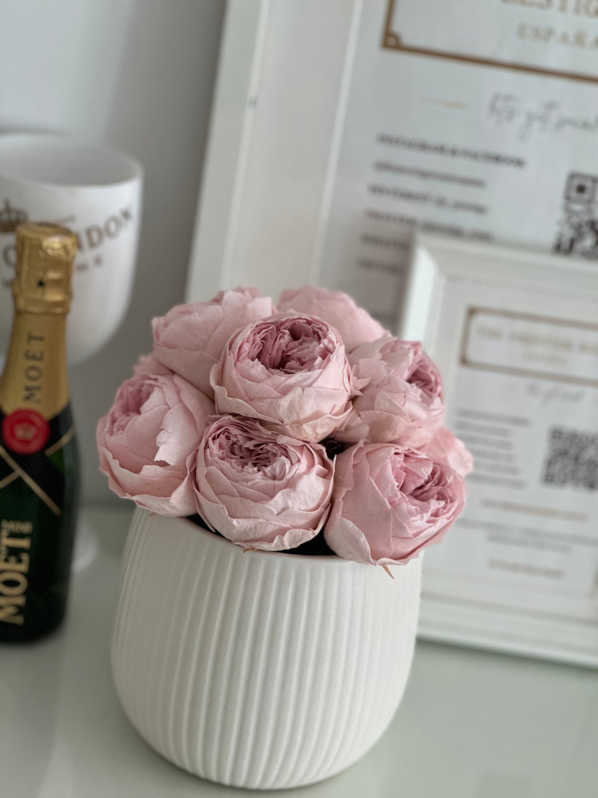 Peonías eternas rosa en jarrón de cerámica blanca de lujo
