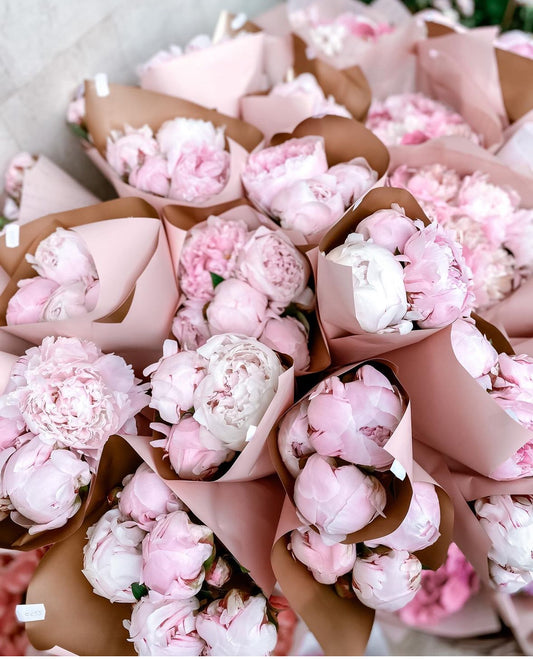 Ramito de peonías rosas frescas en papel de lujo – entrega en Madrid
