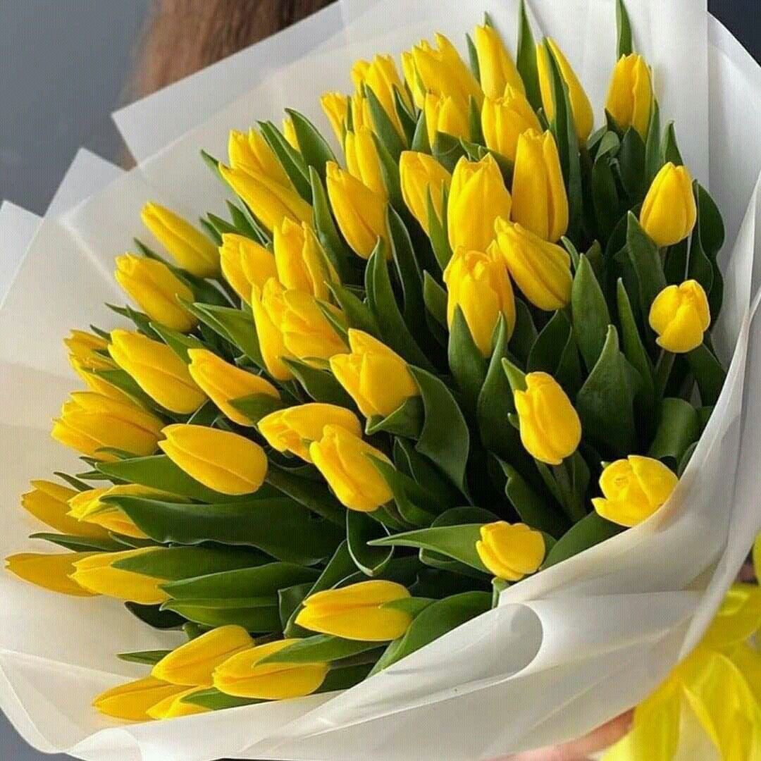 Ramo de 101 tulipanes amarillos naturales frescos para regalar en Madrid