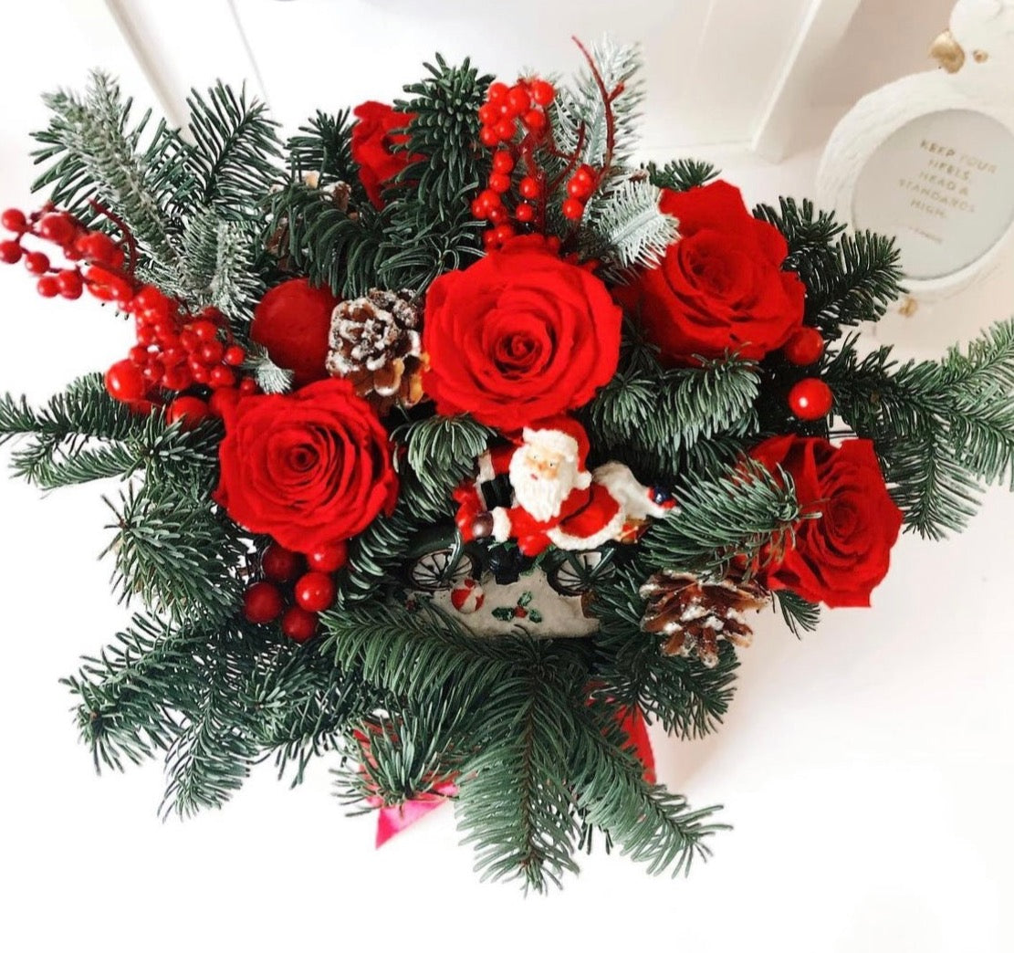 Coleccion Navidad - La Mejor Colección de Rosas Rojas Preservadas para Navidad