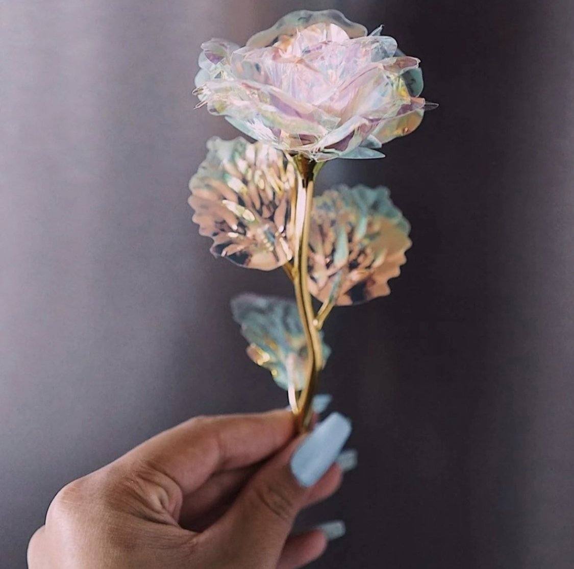 Colección Galaxy - Glow Roses con Tallo de 30 cm- The Prestige Roses Espana