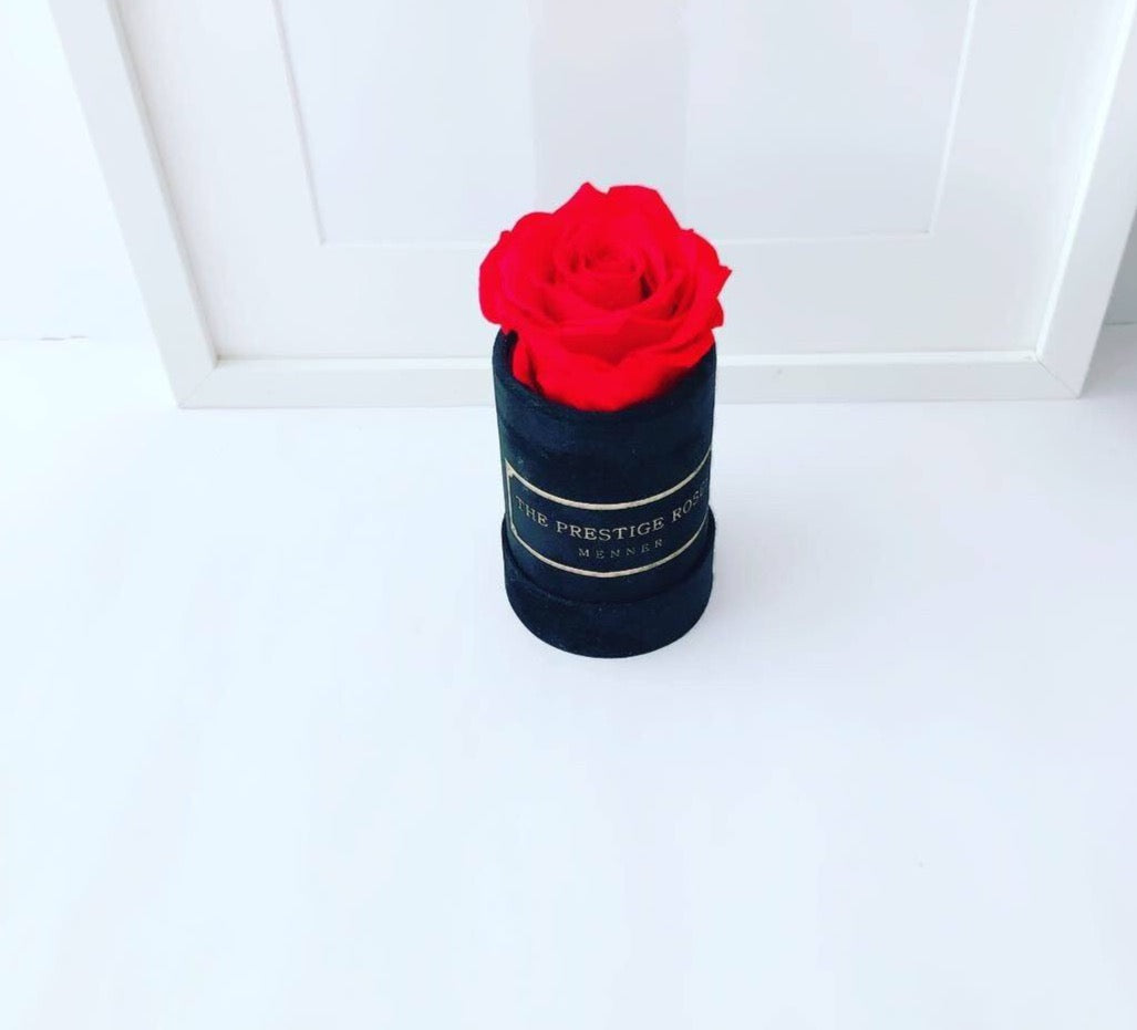 Caja Le Mini Terciopelo - The Prestige Roses - The Prestige Roses Madrid