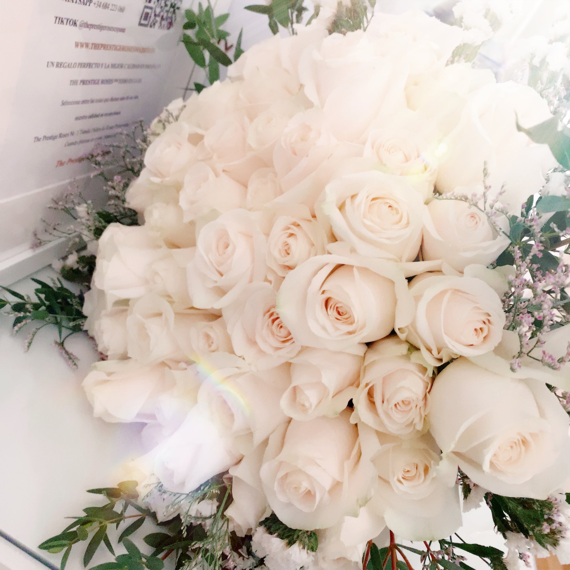 Ramo de Rosas Blancas Perfumadas - The Prestige Roses Espana
