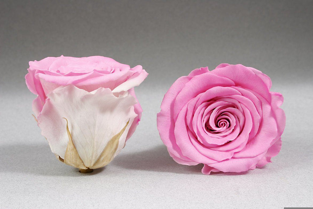 Envío de pétalos de rosa Madrid, Pétalos de rosa naturales