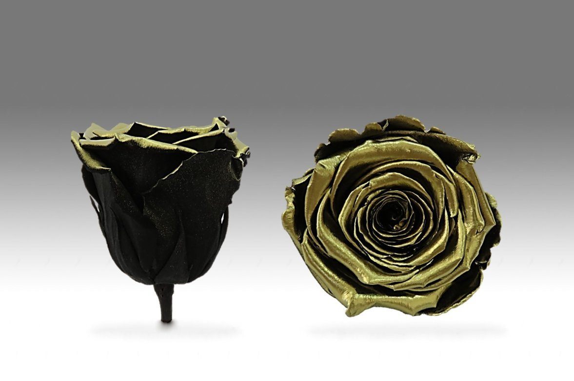 Colección Rosas Frescas  - Caja Cuadrado - The Prestige Roses España - The Prestige Roses Madrid