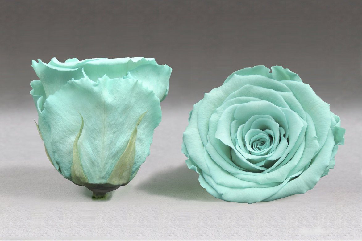 Coleccion Rosas Preservadas - Caja Mini - The Prestige Roses Espana - The Prestige Roses Madrid