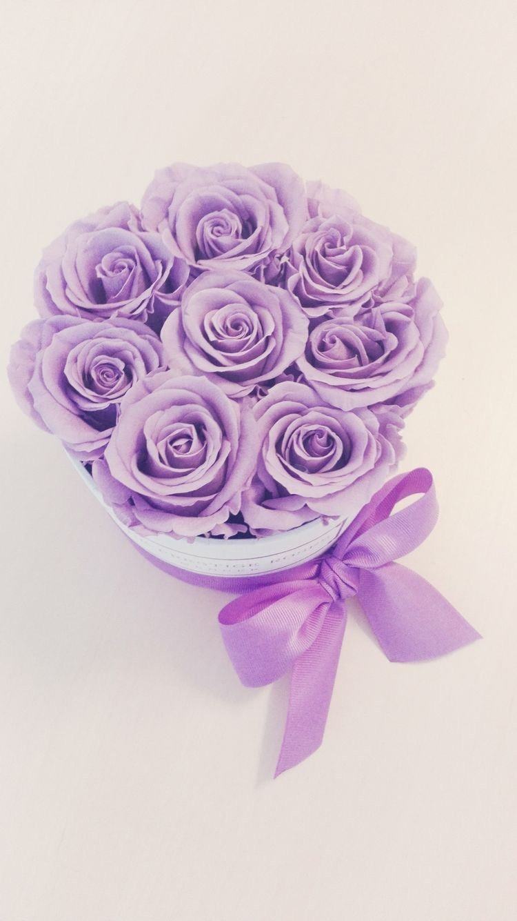 Rosas Moradas Frescas - The Prestige Roses Madrid