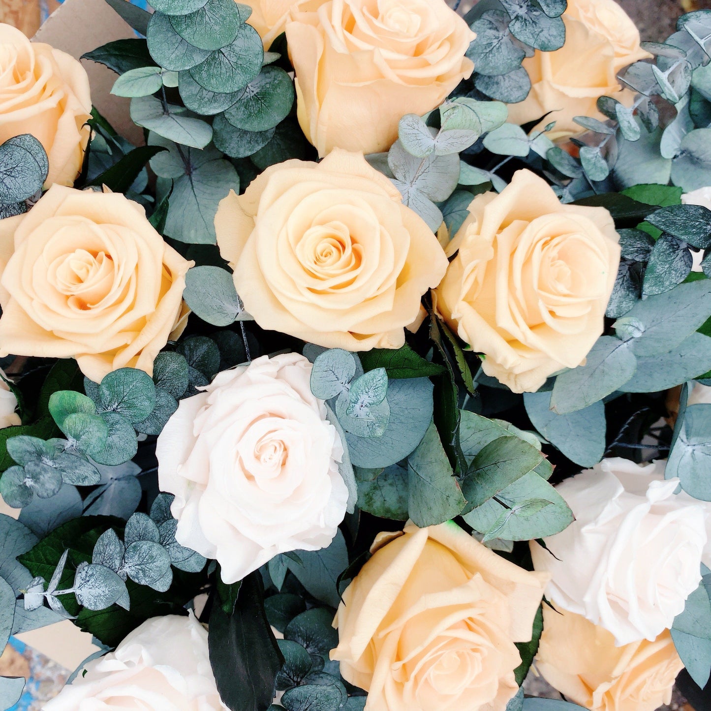 Colección Bouquet de Flores Preservadas  - The Prestige Roses España