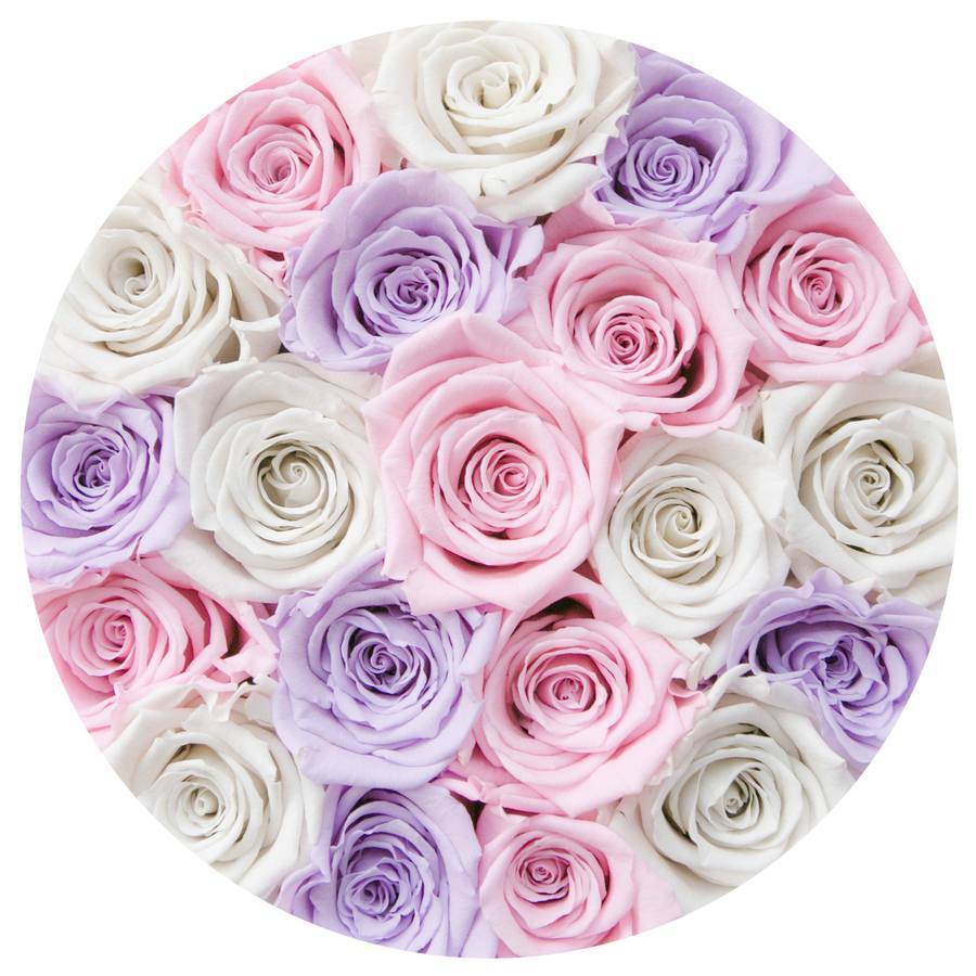 Rosas Moradas Frescas - The Prestige Roses Madrid