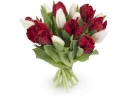 Tulipanes frescos ideales para aniversarios y momentos especiales en Madrid