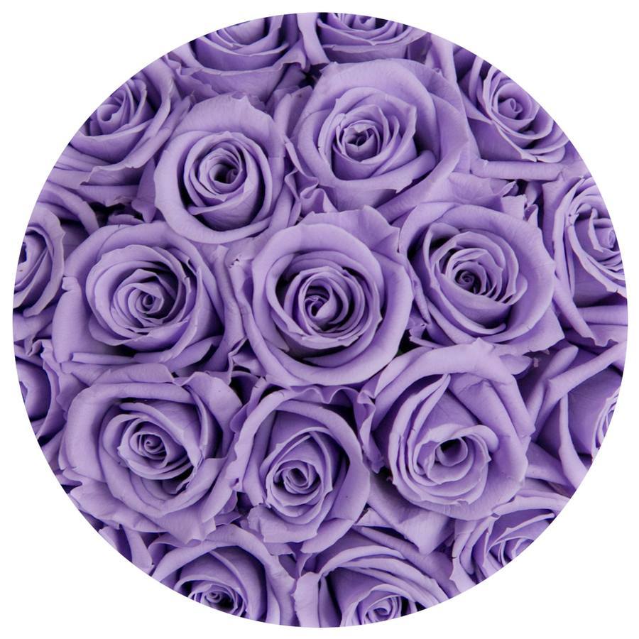 Rosas Moradas Frescas - The Prestige Roses Madrid