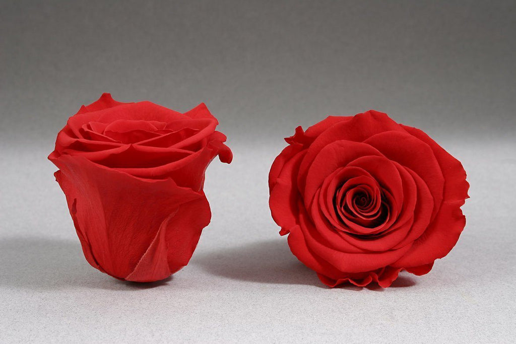 12 rosas eternas rojas en jarrón tono madera