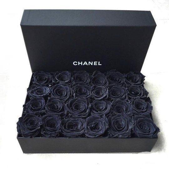 Rosas Negras Preservadas - The Prestige Roses Madrid