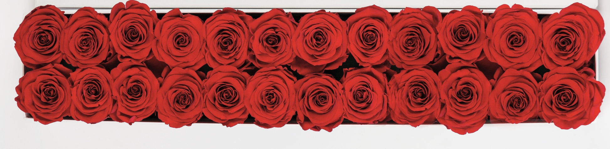 Caja Negro Rectangulo de Rosas Eternas Rojas | The Prestige Roses - The Prestige Roses Madrid