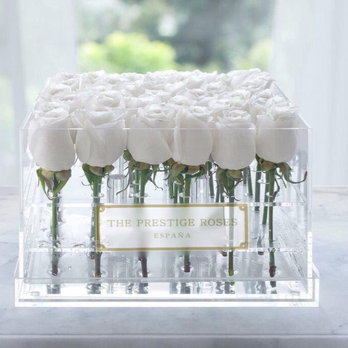 Caja Acrilica de Rosas Frescas Naturales | The Prestige Roses - The Prestige Roses Madrid