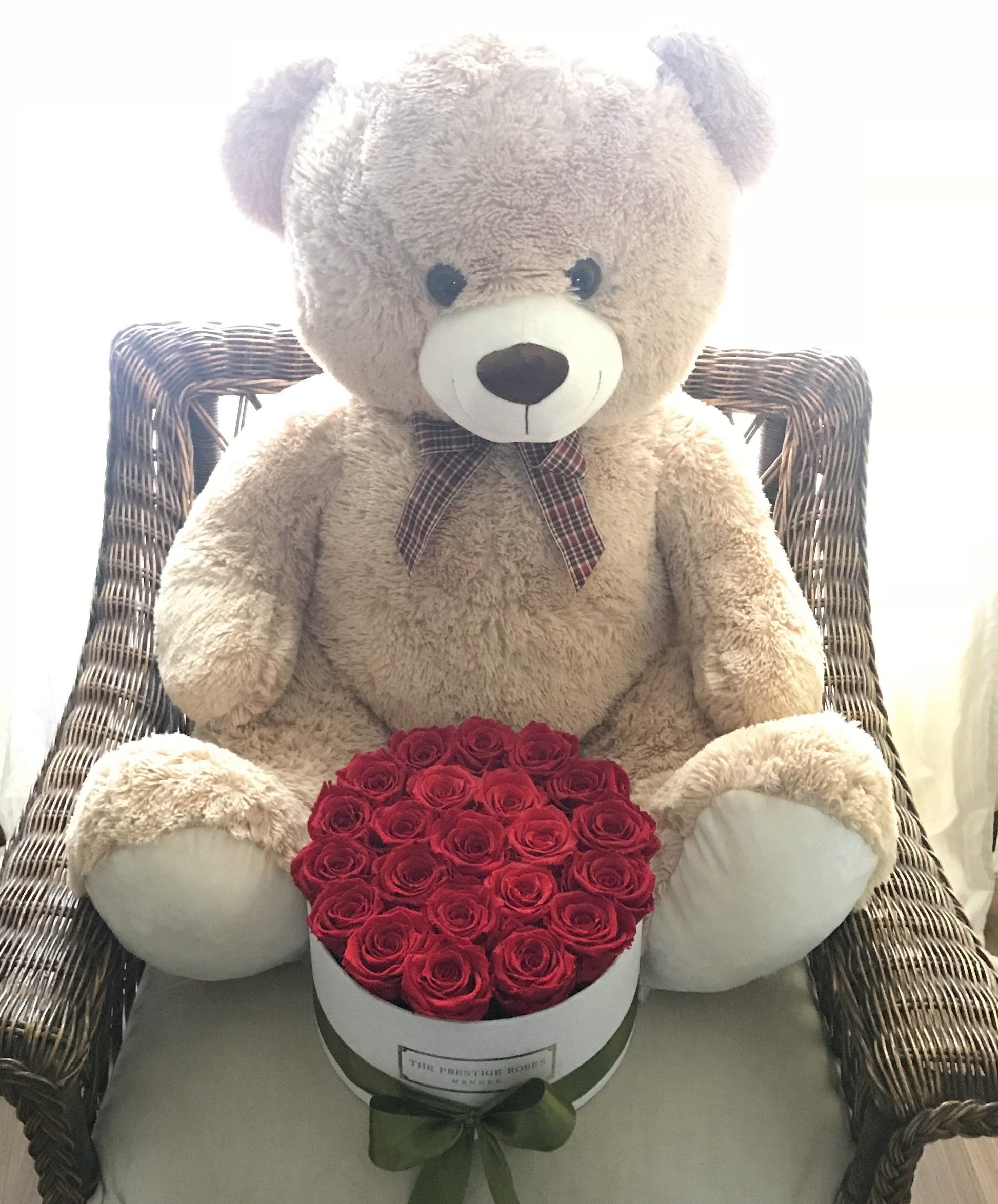 Oso de Peluche - The Prestige Roses España - The Prestige Roses Madrid