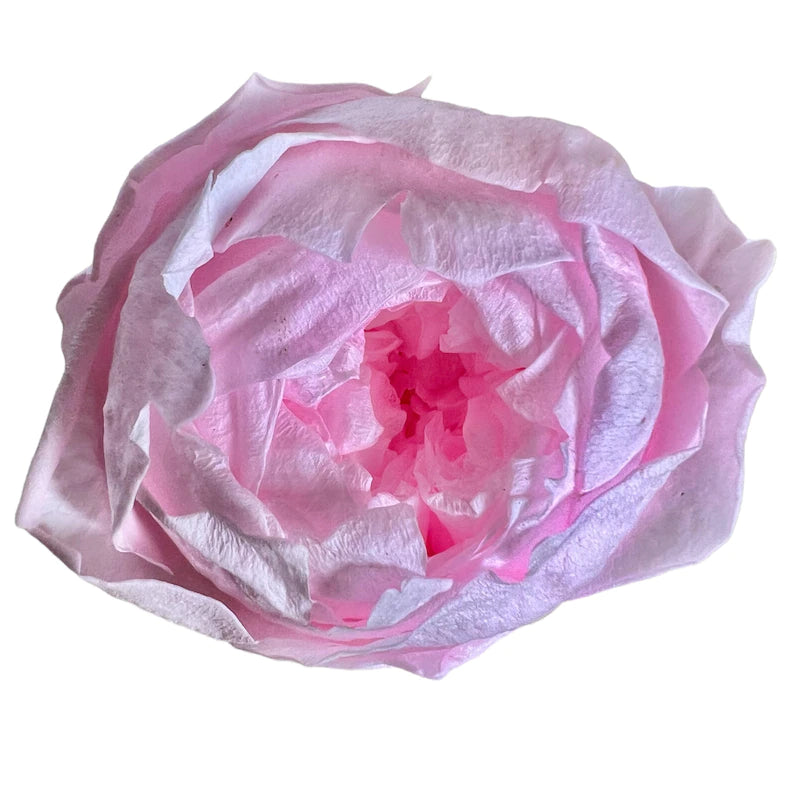 Caja Acrílica de Flores Variadas naturales
