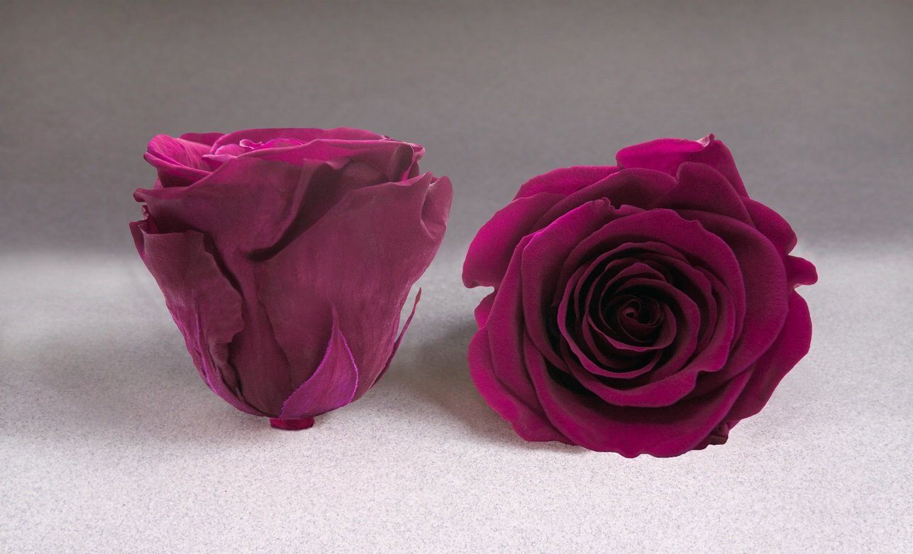 Caja Blanco Mini de Rosas Eternas Rosas | The Prestige Roses - The Prestige Roses Madrid