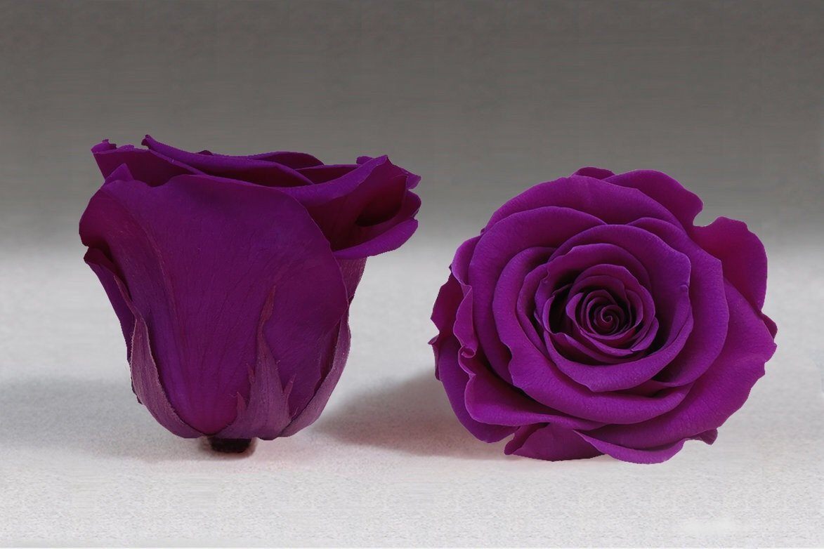 Caja Blanco Corazon de Rosas Eternas Moradas | The Prestige Roses - The Prestige Roses Madrid