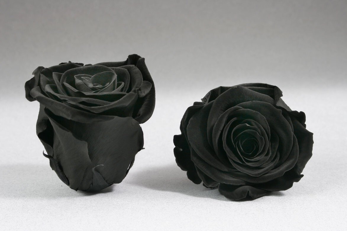 Eternal Roses Negro Caja Negro Mini de Rosas Eternas Negros