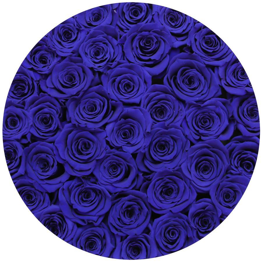 Rosas Moradas Frescas - The Prestige Roses Madrid