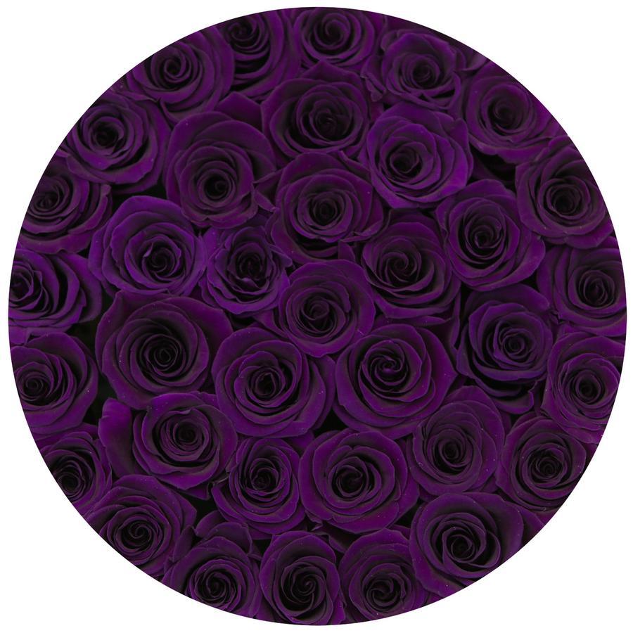 Rosas Moradas Frescas - The Prestige Roses Madrid