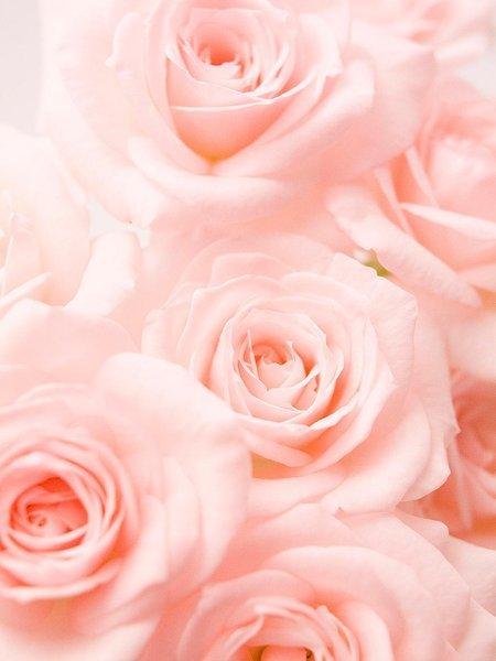 Colección Rosas Frescas  - Caja Forma de Corazón - The Prestige Roses España - The Prestige Roses Madrid