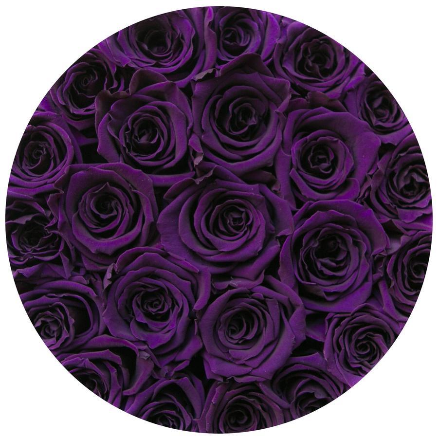 Rosas Moradas Frescas - The Prestige Roses Madrid