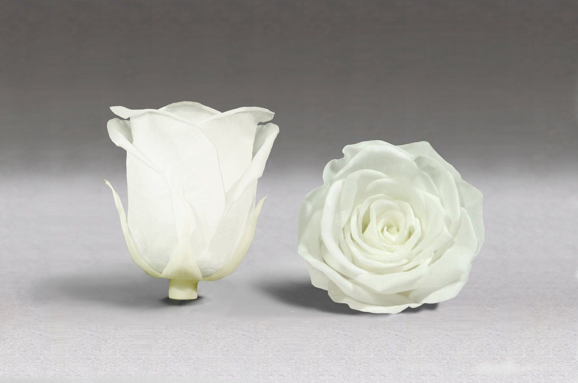 Ramo de novia de flores preservadas - The Prestige Roses Espana - The Prestige Roses Madrid