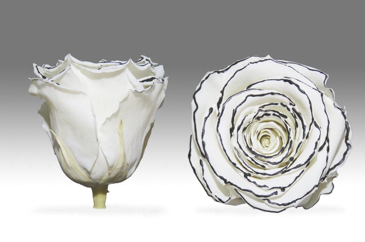 Caja Blanco Corazon de Rosas Eternas Blancas | The Prestige Roses - The Prestige Roses Madrid