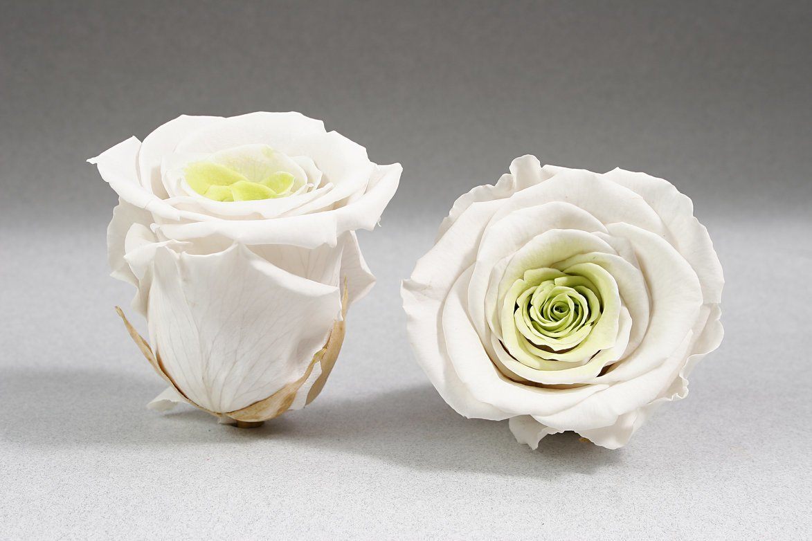 Caja Blanco Corazon de Rosas Eternas Blancas | The Prestige Roses - The Prestige Roses Madrid
