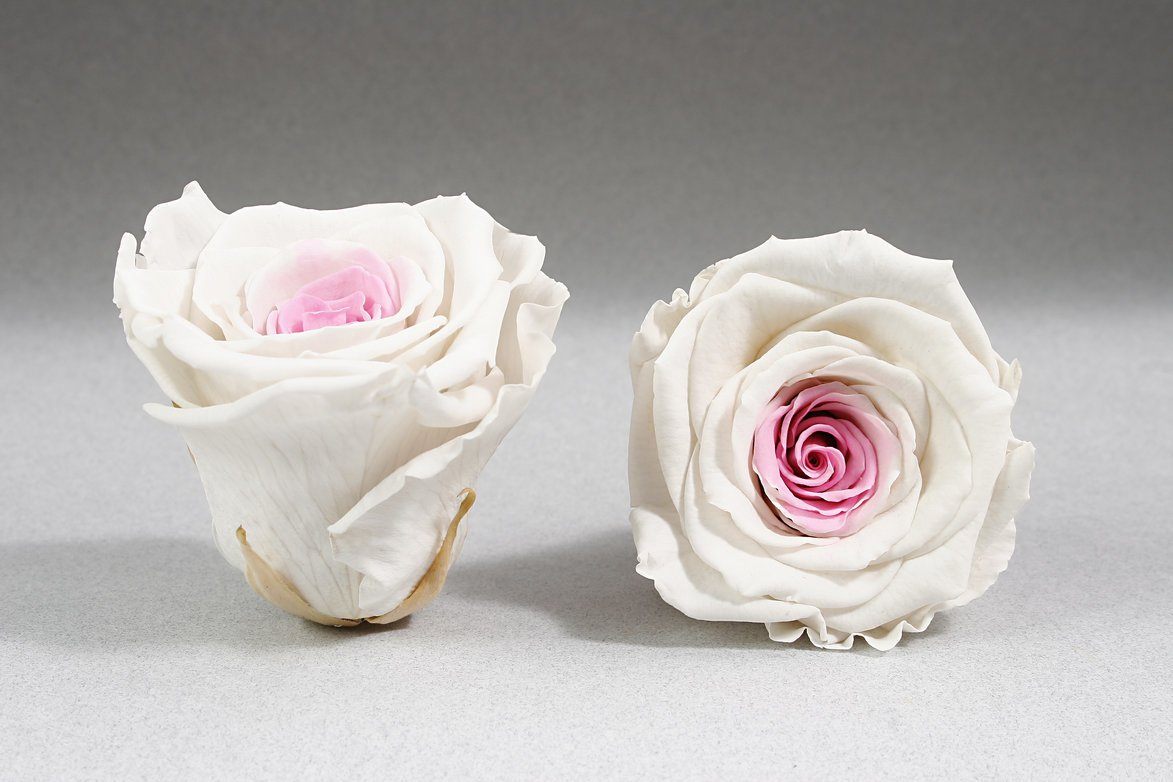Caja Blanco Corazon de Rosas Eternas Blancas | The Prestige Roses - The Prestige Roses Madrid